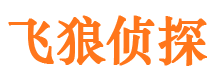 武陵源市私人调查